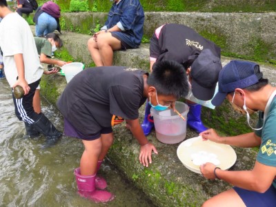 [山林種子-水資源課程]溪流調查水蟲